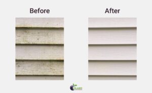 The outcomes of applying homemade siding cleaner solutions