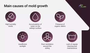 main factors that influence the vinyl siding mold growth