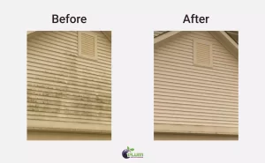 before and after our top vinyl siding mold removing services