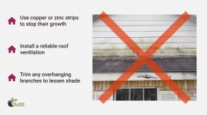 Preventing moss and mold growth