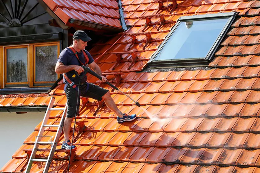 how to clean algae off roof