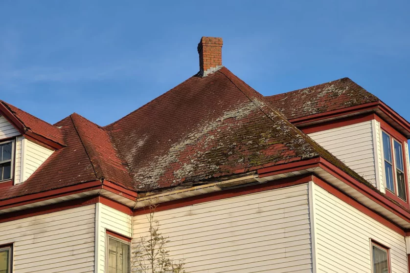 example of roof with mildew