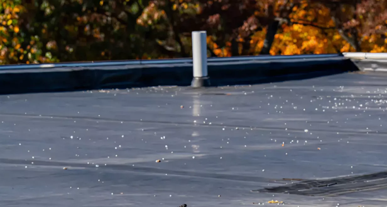 Edge and detail reinforcement