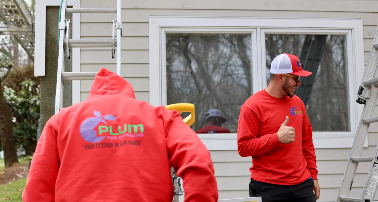Inspection & moisture assessment