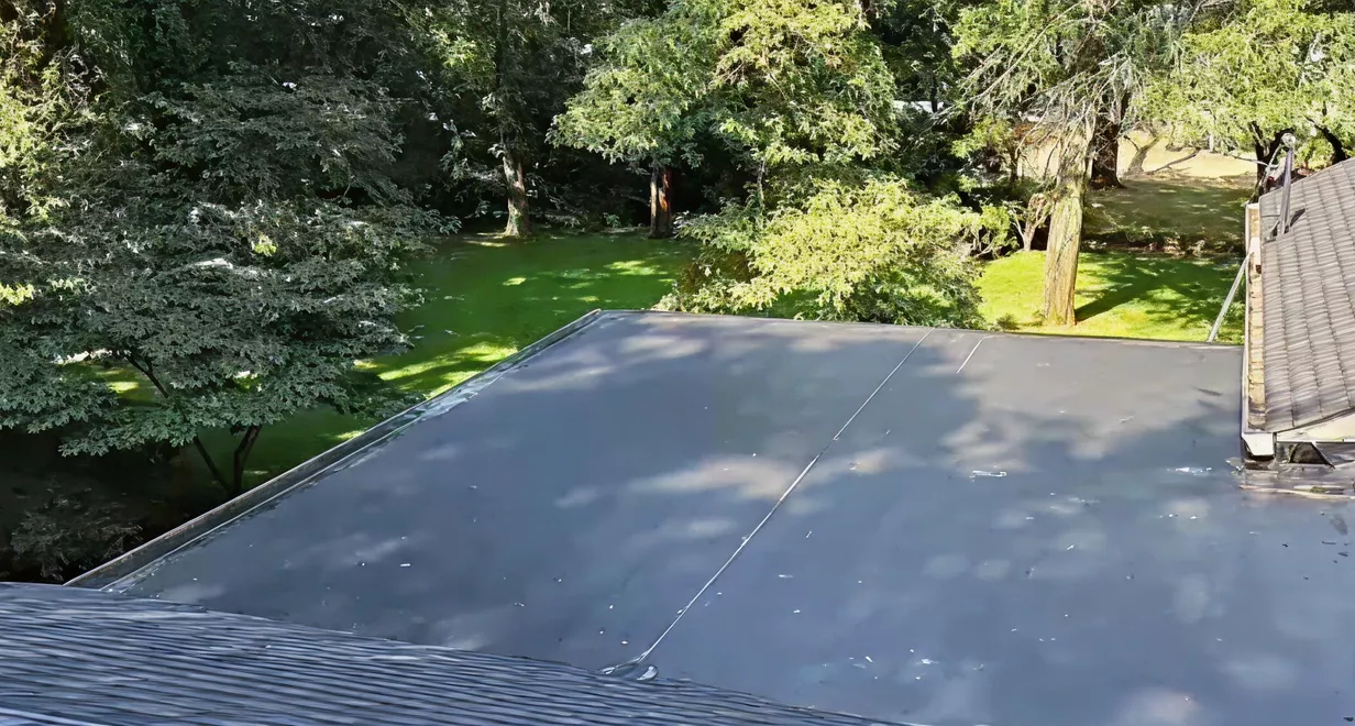 Low-slope roof performance