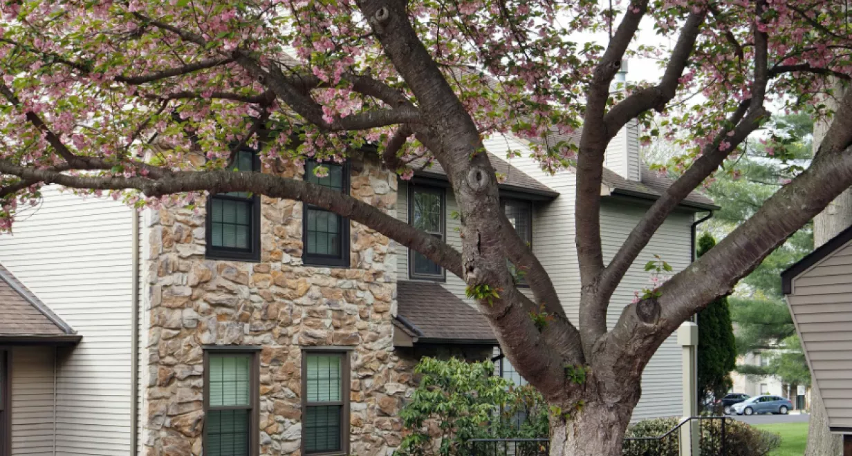Multi-family and condo buildings