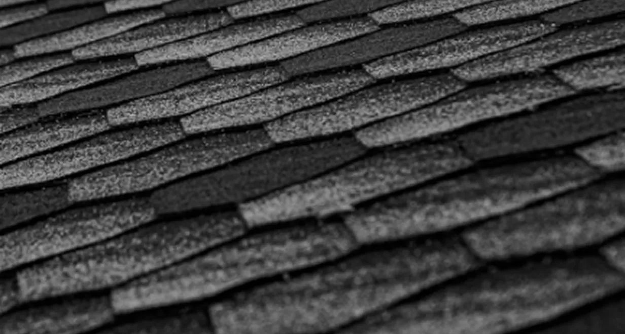 Polymer shingles