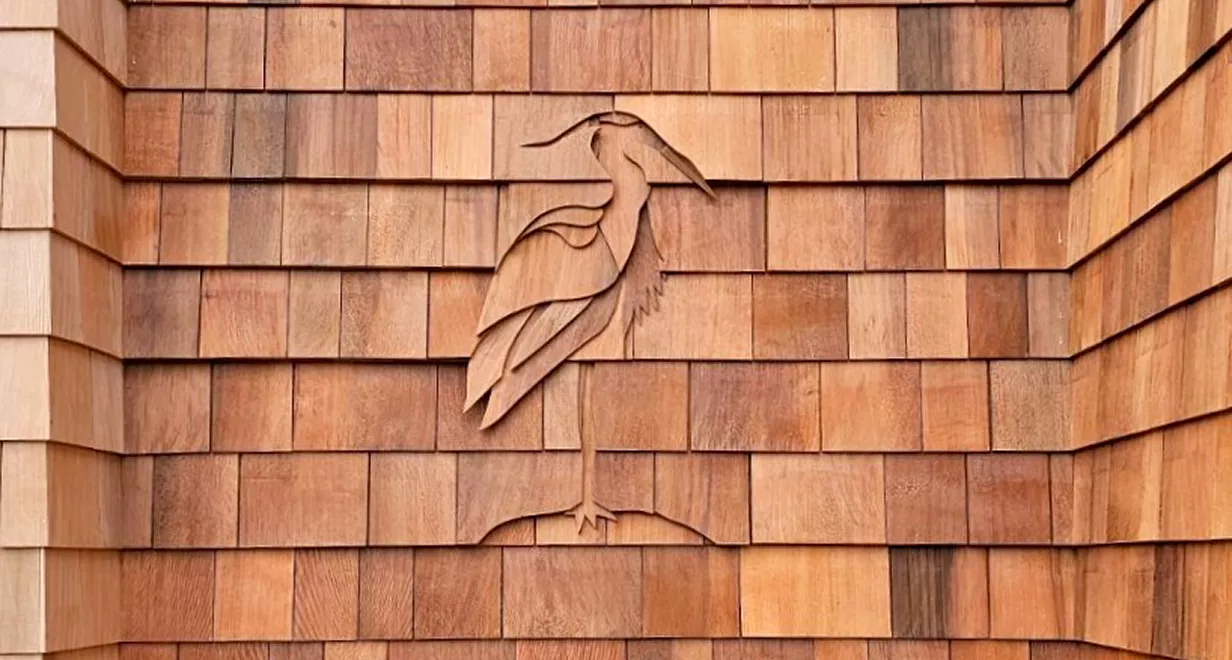 Composite Decking & Exterior Trim
