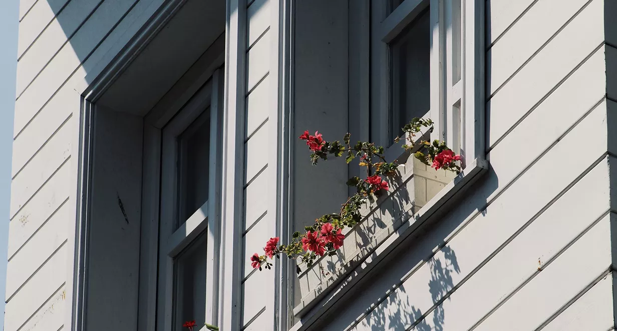 Fiber Cement Siding