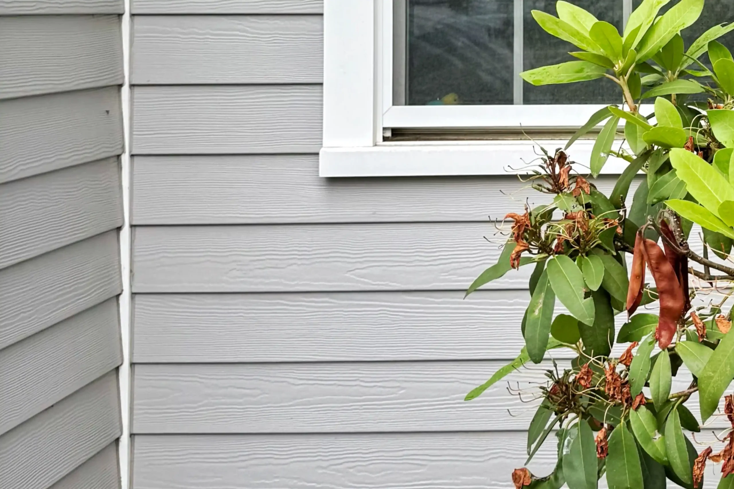 Vinyl siding