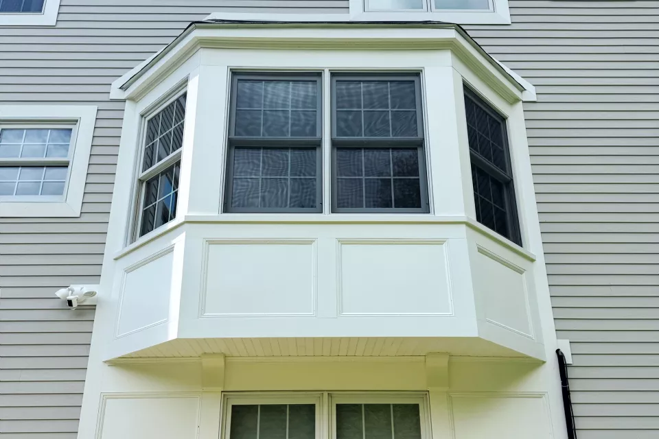 Bay and bow windows