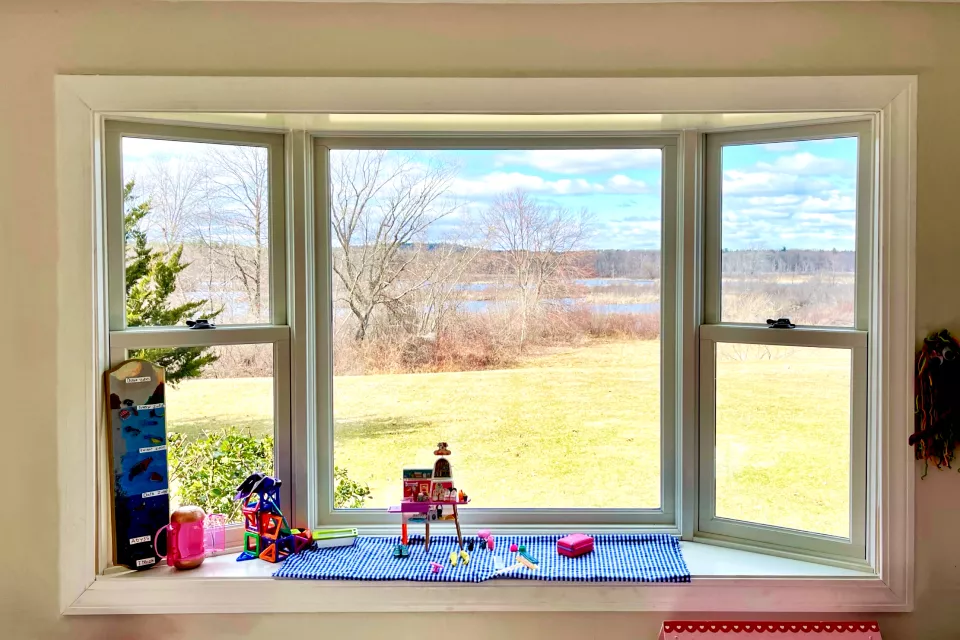 Bay and bow windows
