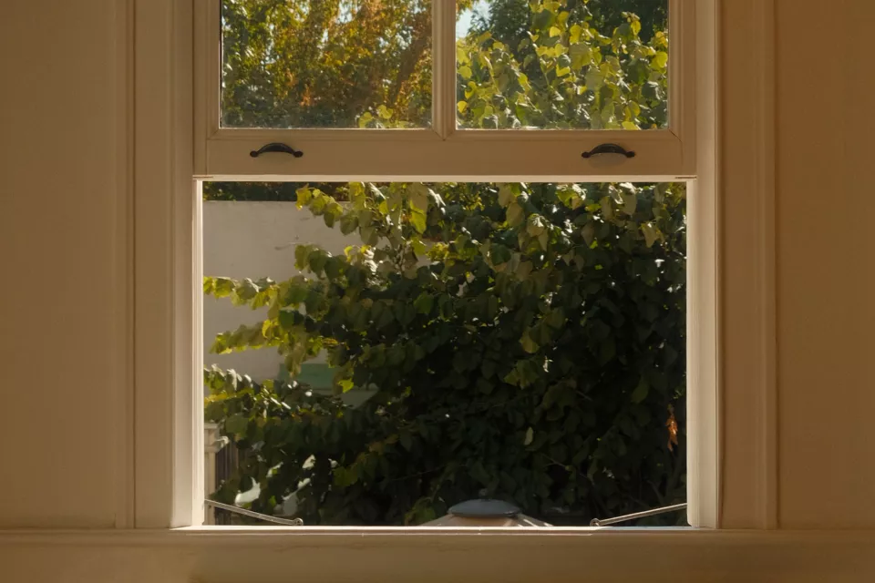 Double-hung windows