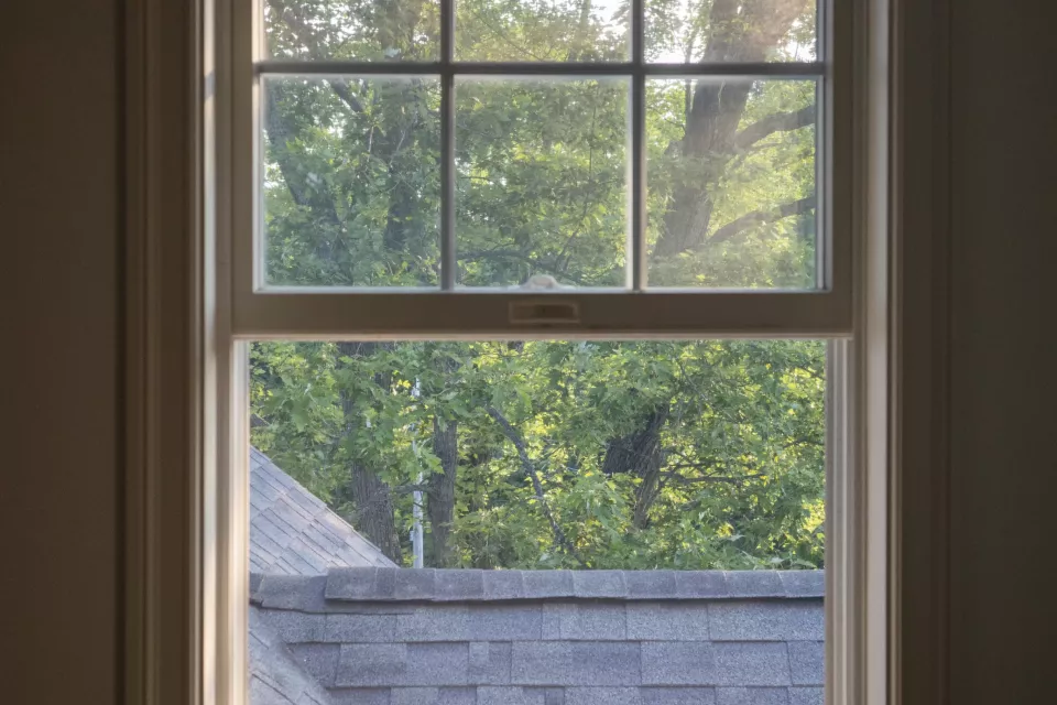 Double-hung windows