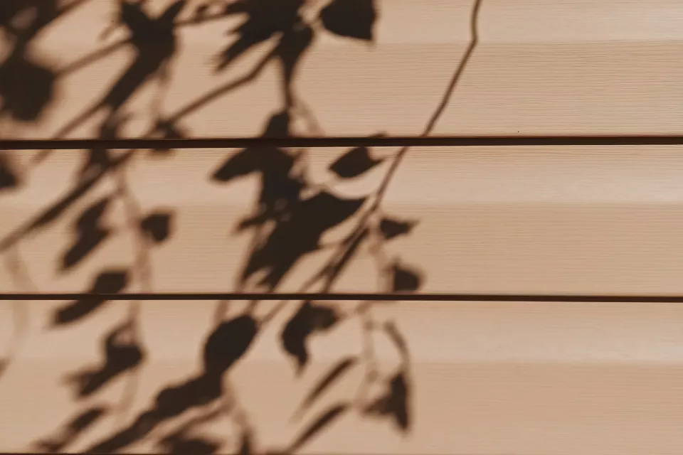 Vinyl