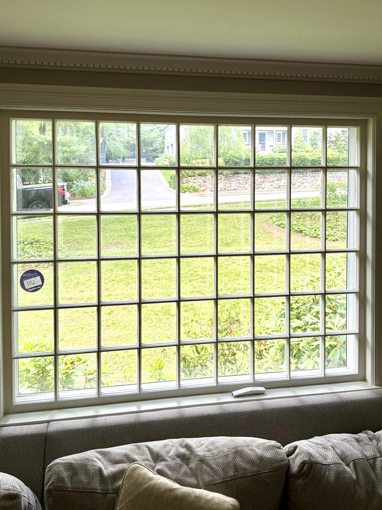 New Marvin divided-lite window in a Wellesley living room