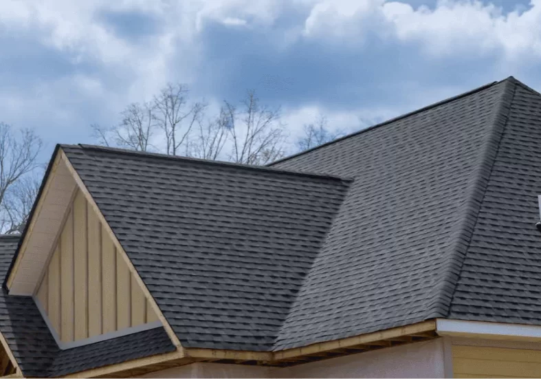 asphalt shingle